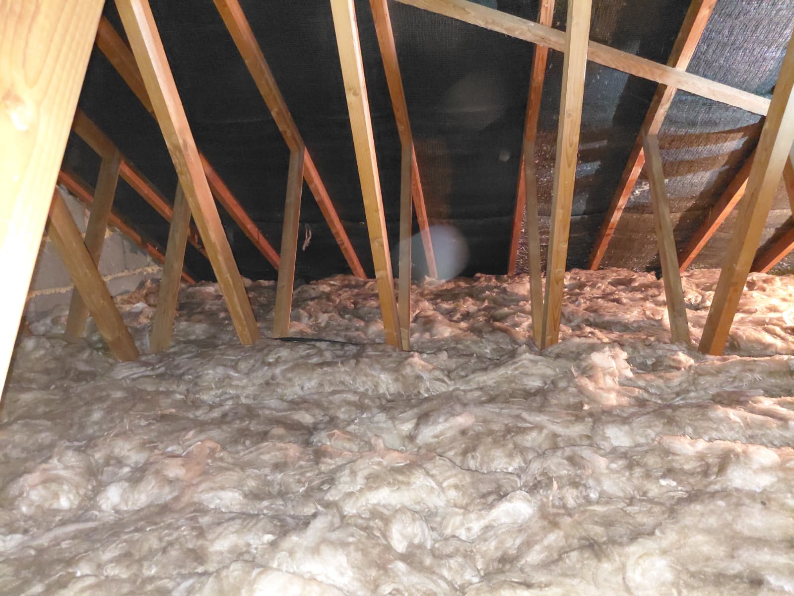 Loft Insulation
